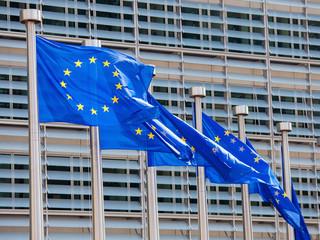 The Commission has raised concerns that the expanding US economy will suck in more imports, widening the country’s trade deficit and prompting fresh tariff increases. But be not be surprised if the US administration is not impressed by such a comment from ‘Brussels’